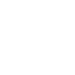 Palme Palme